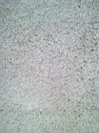 ballynonty 5565.jpg
